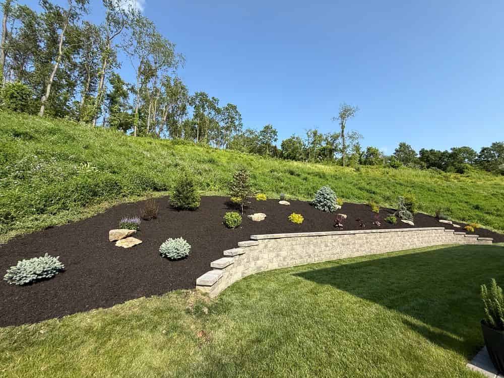 Tree and Shrub Planting Services image
