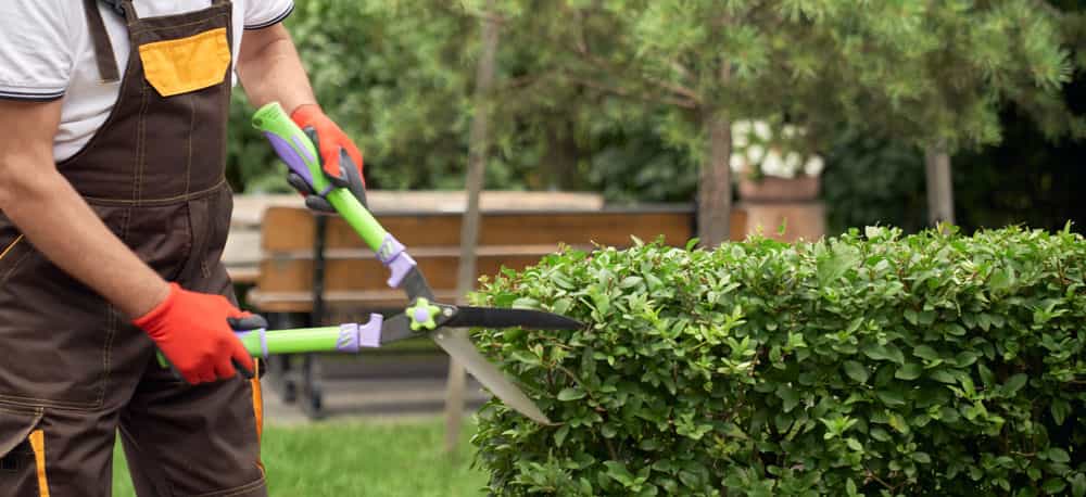Hero image for BDH Landscaping