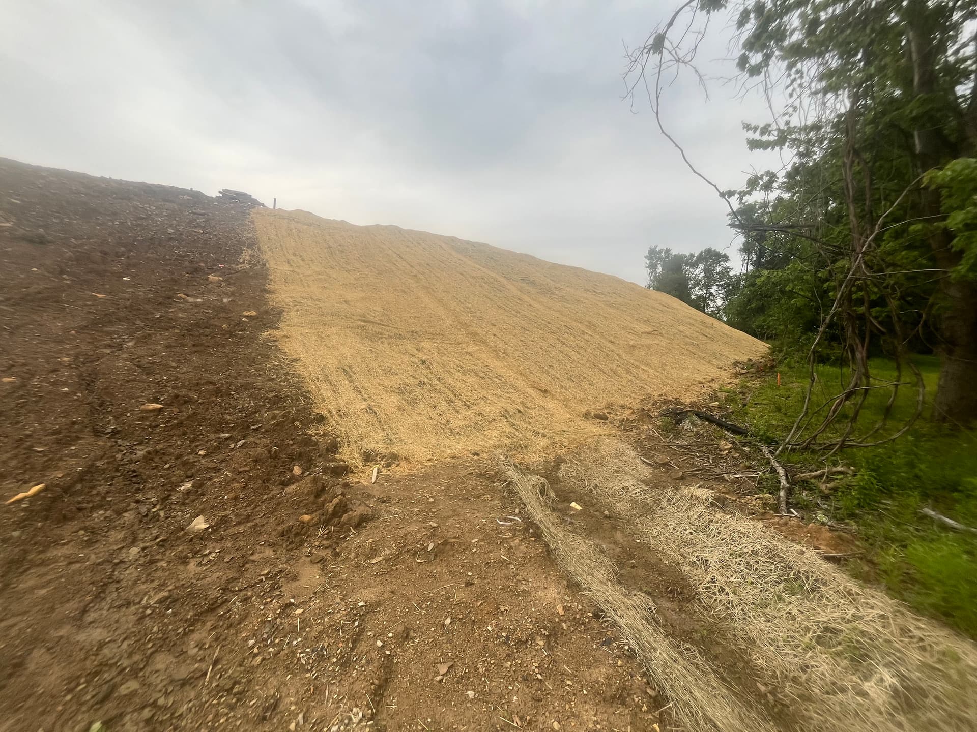 Gallery photos for Slope Seeding and Erosion Control at a Murrysville Development: Image #6