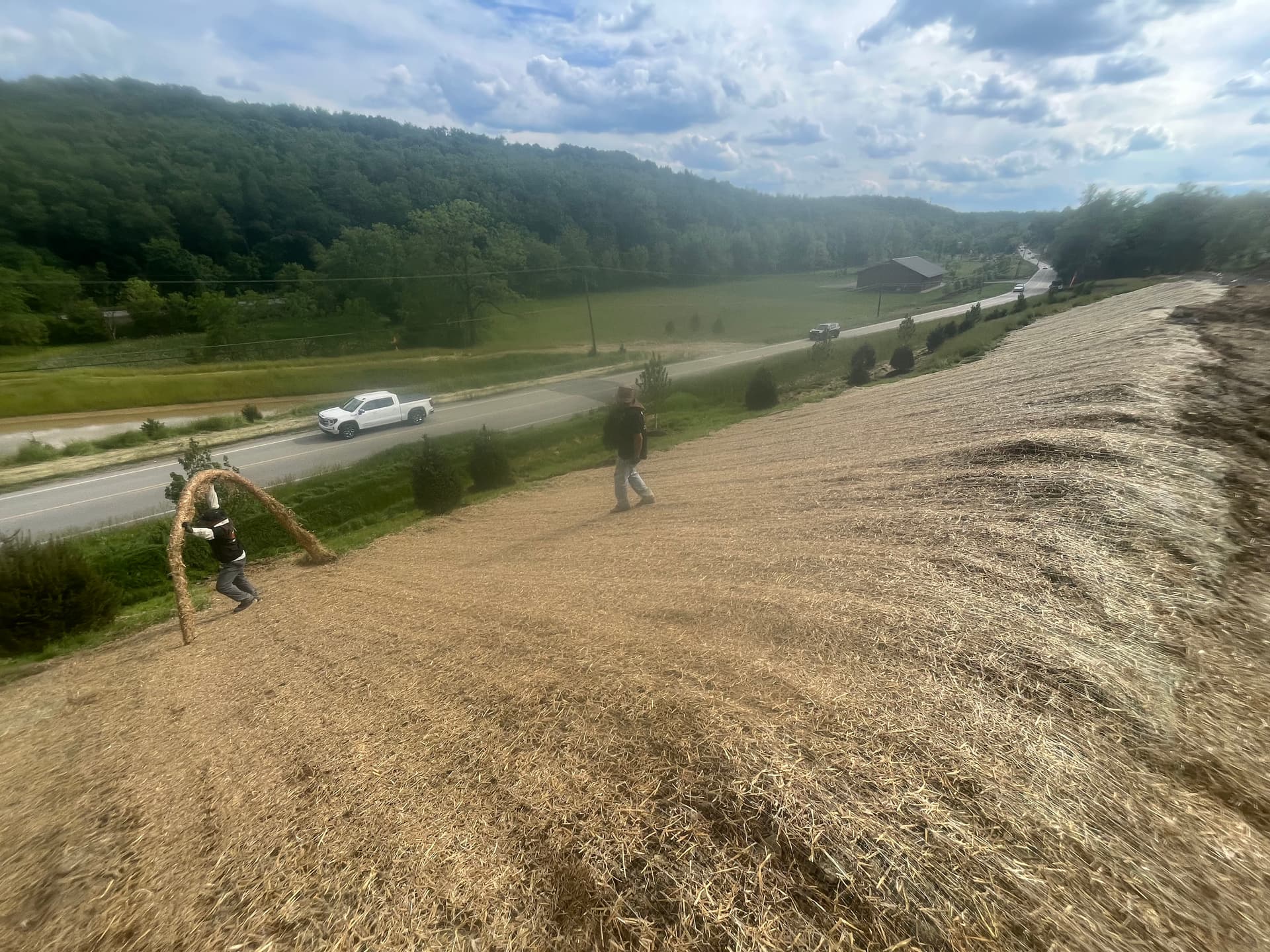 Gallery photos for Hillside Erosion Control Done Right with Straw Matting: Image #1
