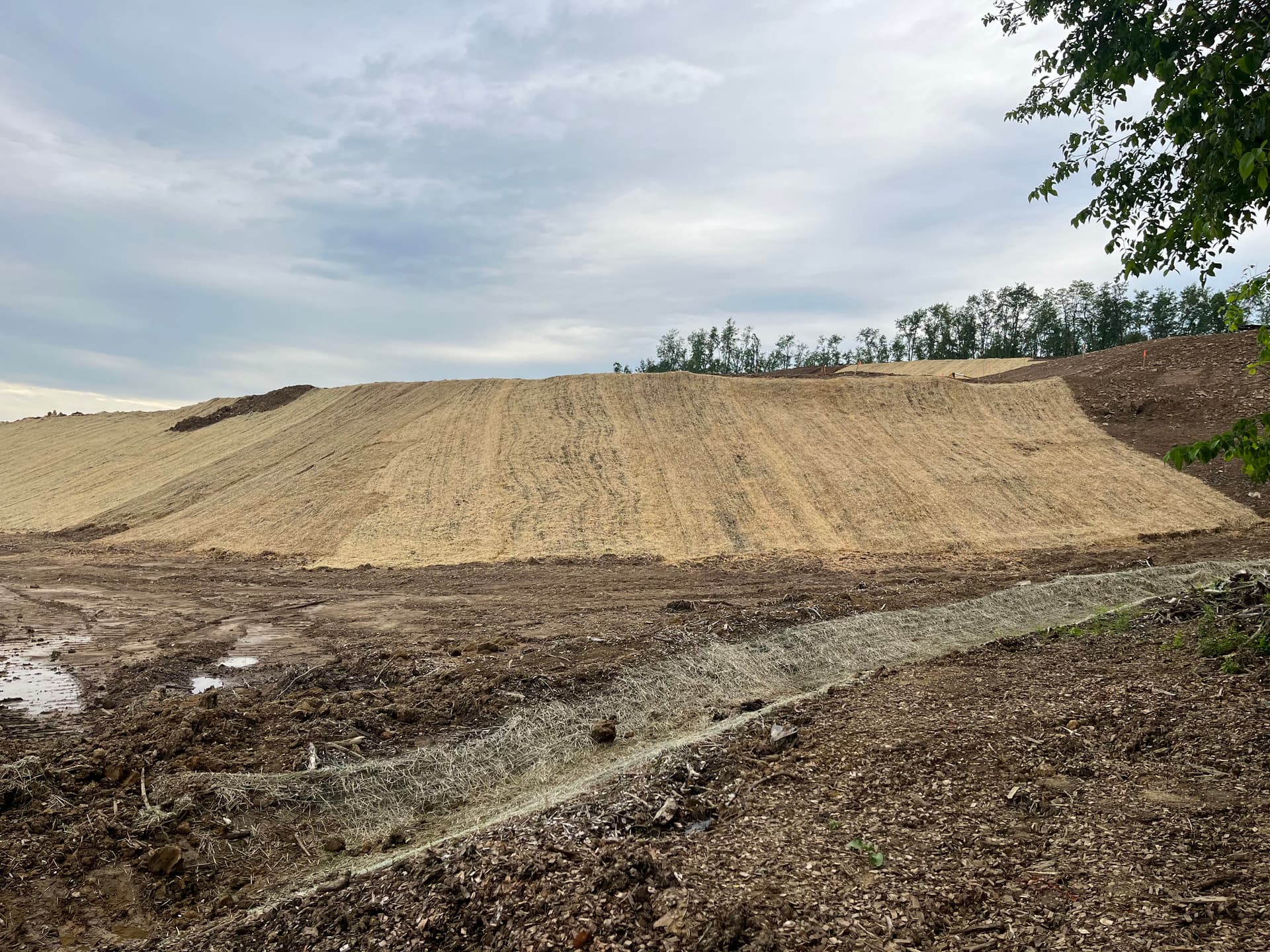 Gallery photos for Slope Seeding and Erosion Control at a Murrysville Development: Image #4
