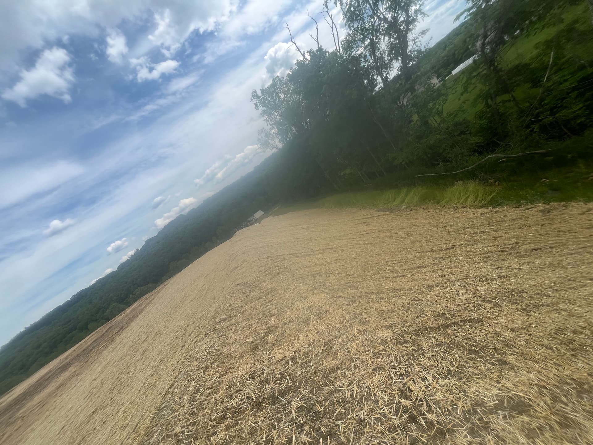 Gallery photos for Hillside Erosion Control Done Right with Straw Matting: Image #4