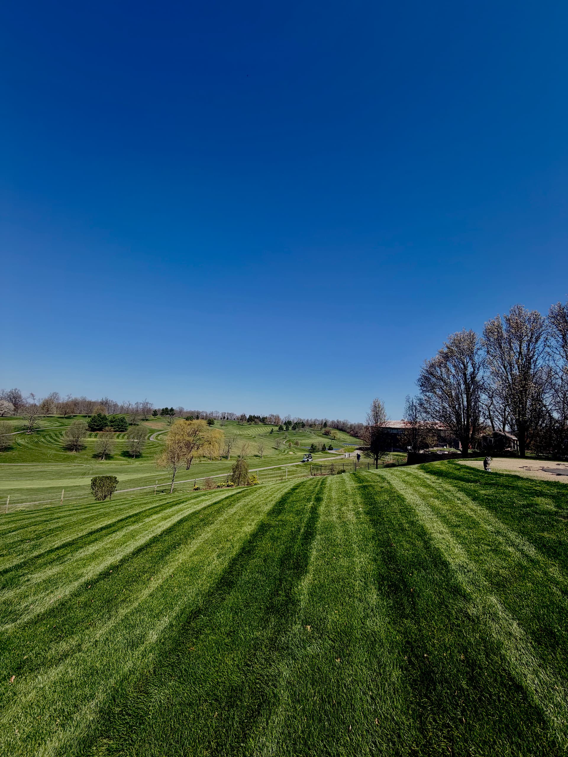 Mowing Season Is Here and the Lawns Are Looking Sharp image