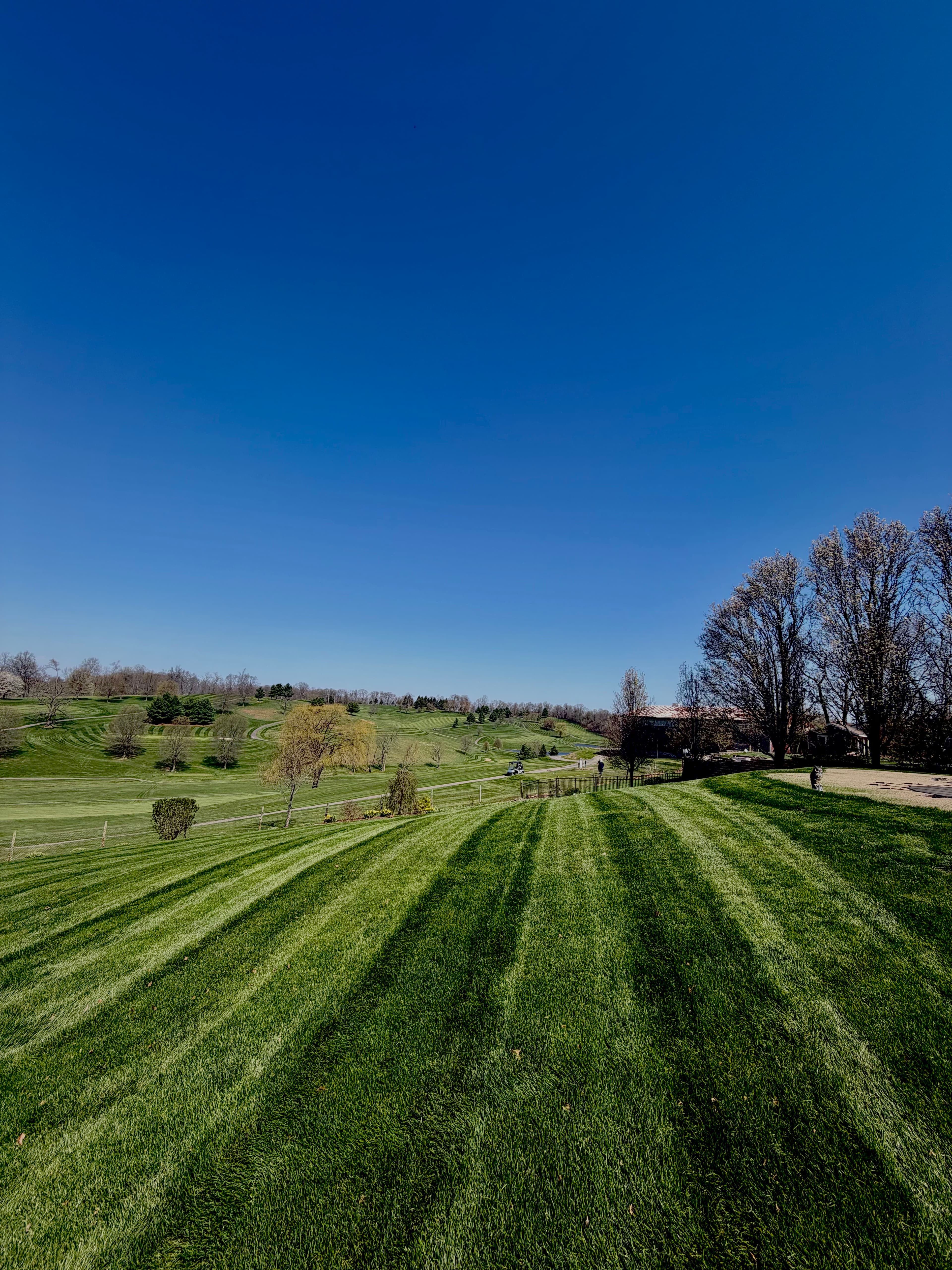 Project Mowing Season Is Here and the Lawns Are Looking Sharp image