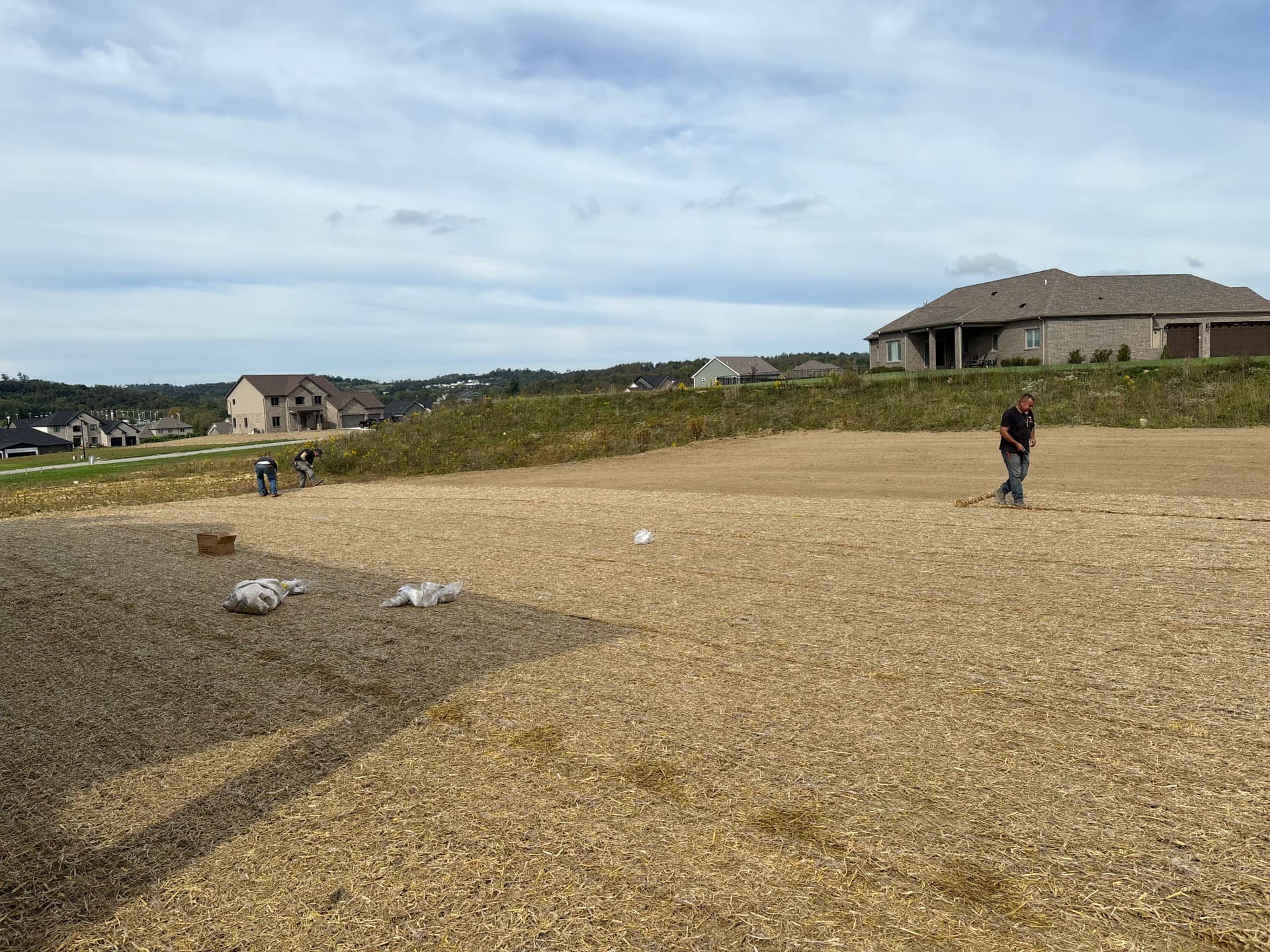 Fall Lawn Seeding and Prep Work in Progress image