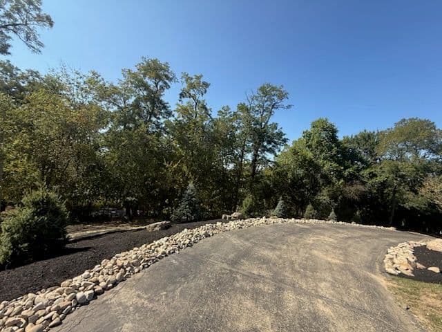 Gallery photos for Transformative Landscaping with Blue Spruces: Image #3