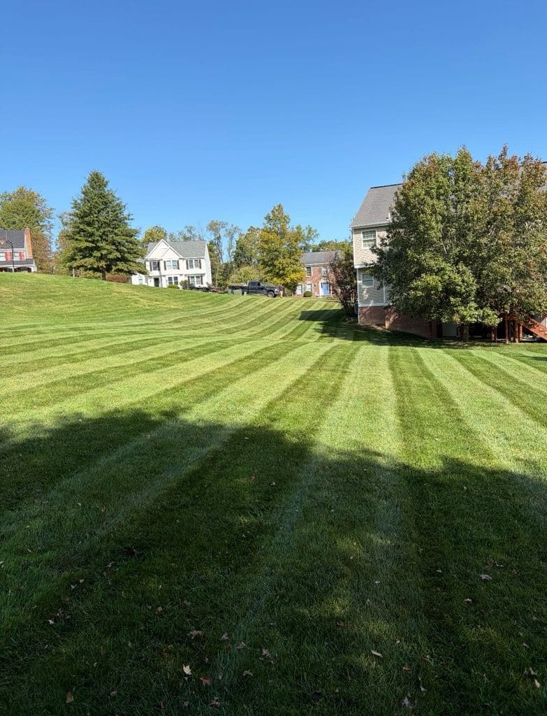 Gallery photos for Lawn Care Excellence for a Greener Tomorrow: Image #1