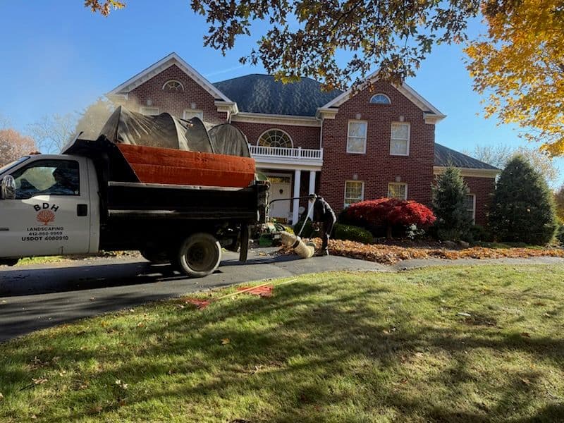 Project Leaf Cleanup Service - Effortless Yard Maintenance image