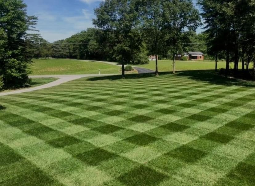 Expertise in Eco-Friendly Landscaping's image