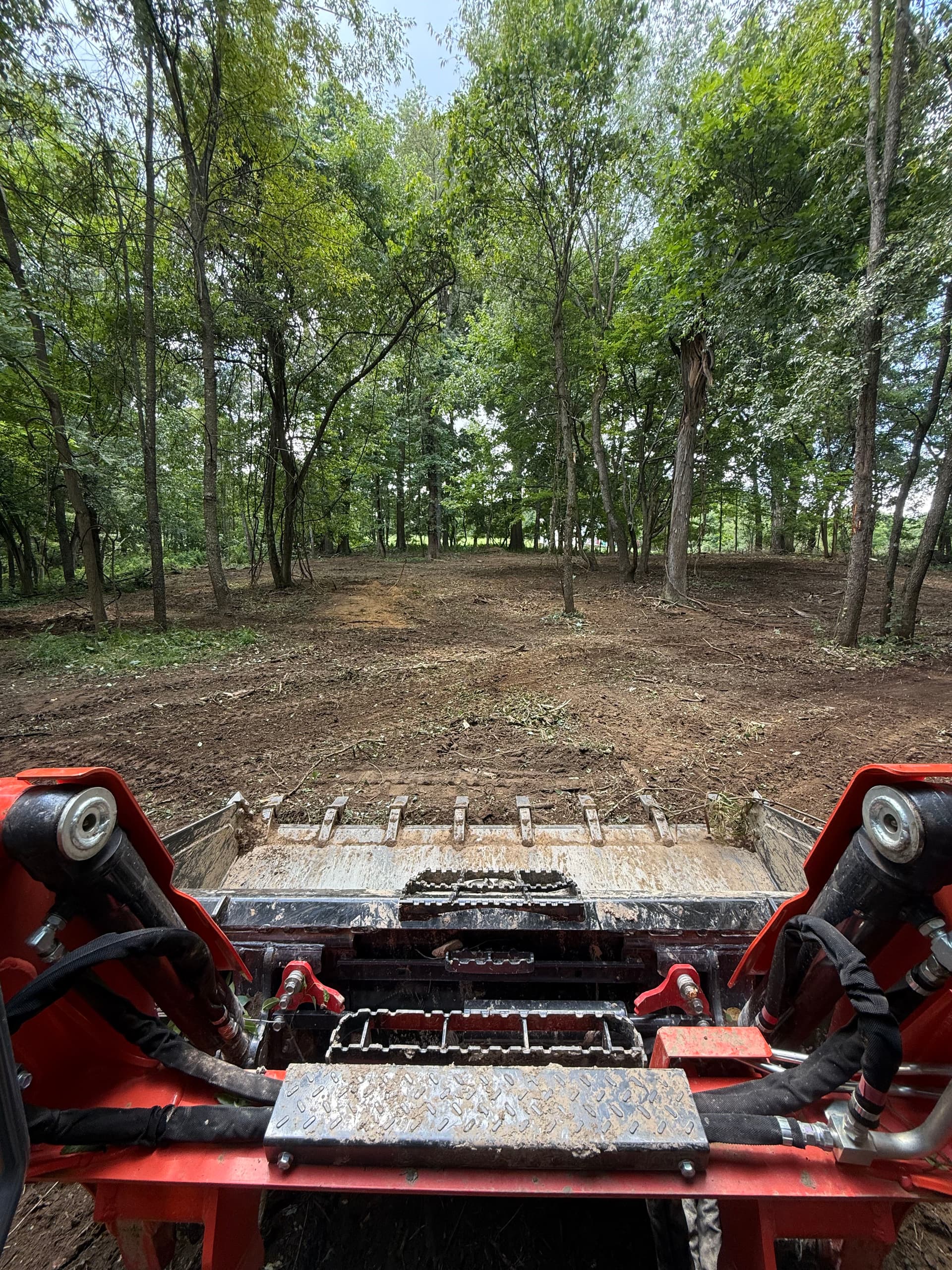 Gallery photos for Neglected Lots Cleared and Prepped for What Comes Next: Image #2