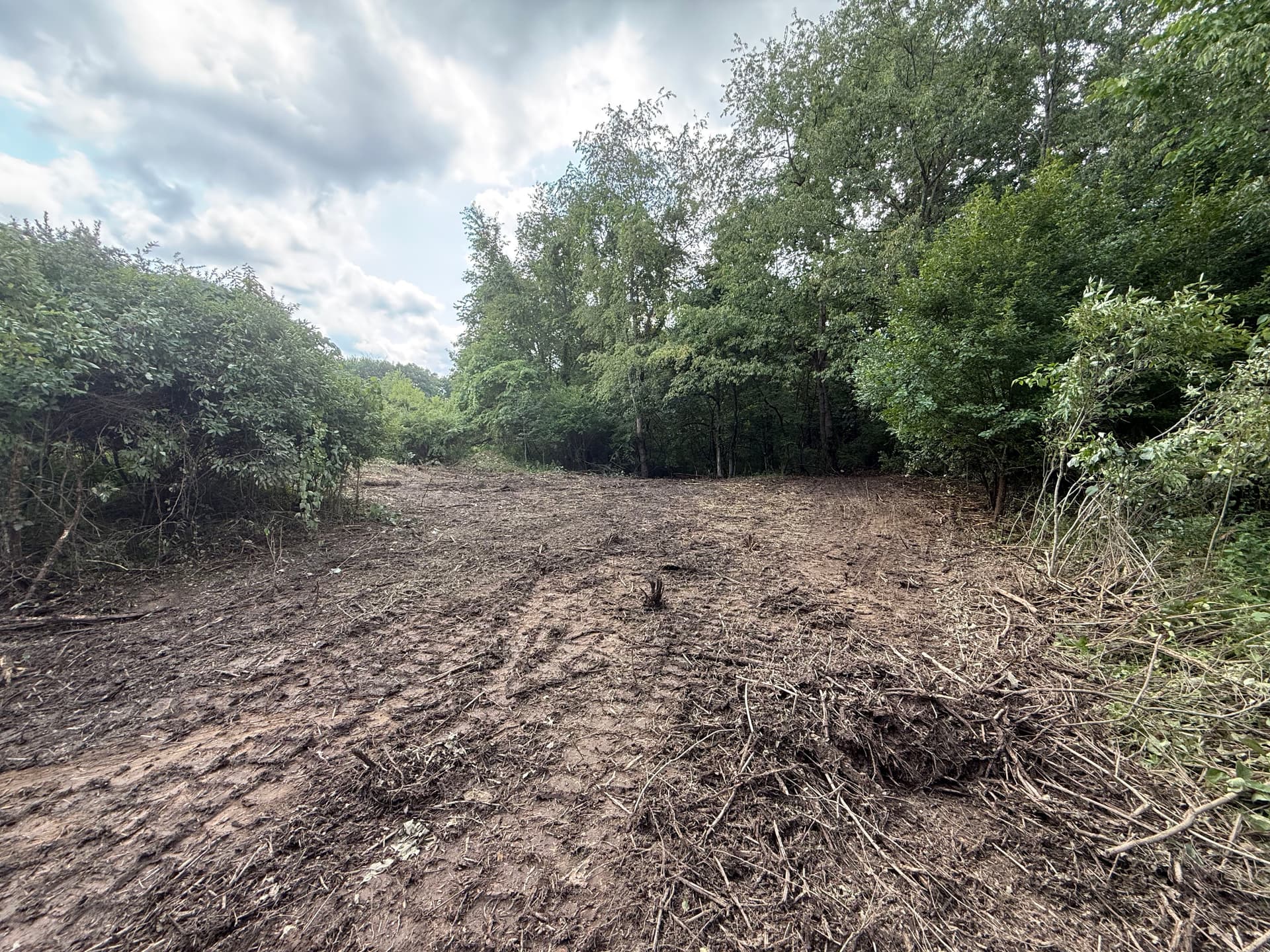 Gallery photos for Neglected Lots Cleared and Prepped for What Comes Next: Image #4