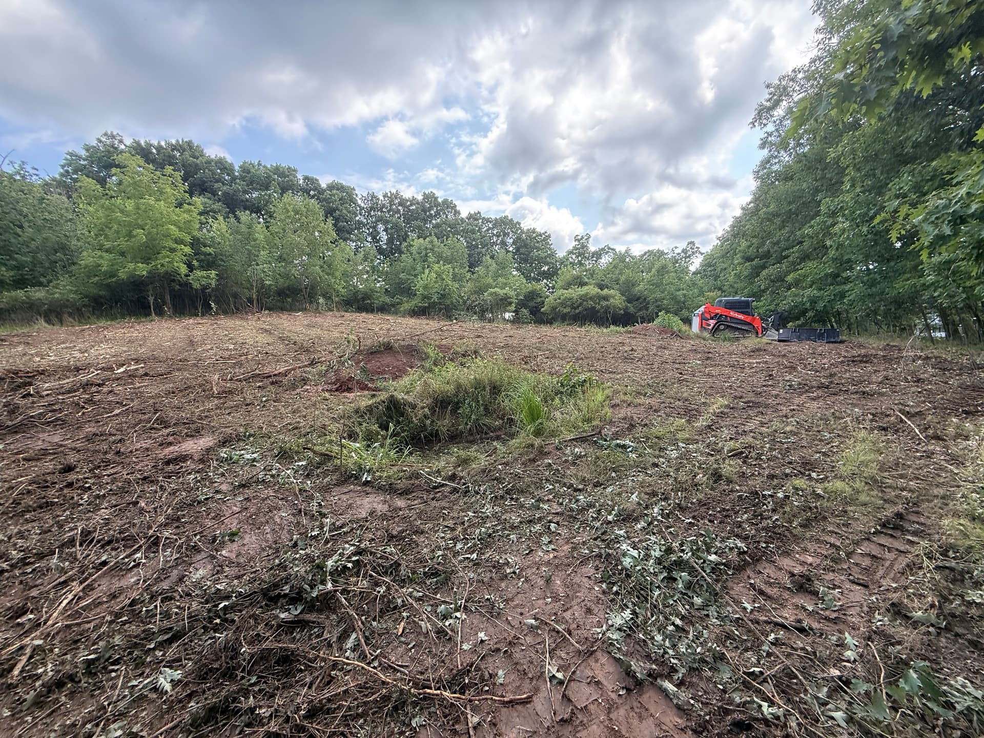 Gallery photos for Neglected Lots Cleared and Prepped for What Comes Next: Image #5